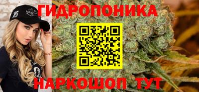 сатива Будённовск