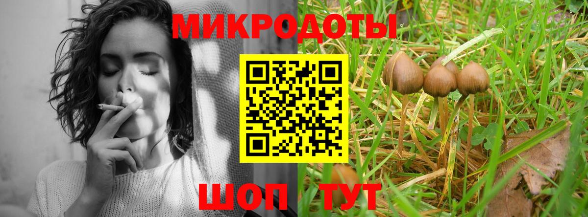 Киреевск  Псилоцибиновые грибы мицелий  Вход с VPN 
