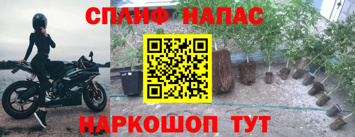 Каннабис семена Киреевск