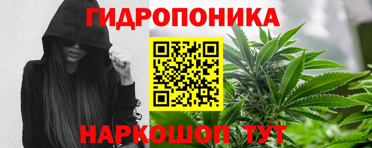Каннабис Bruce Banner  Бошки Шишки THC 21%  Бошки марихуана AK-47  Вход с VPN  Конопля план  Киреевск 